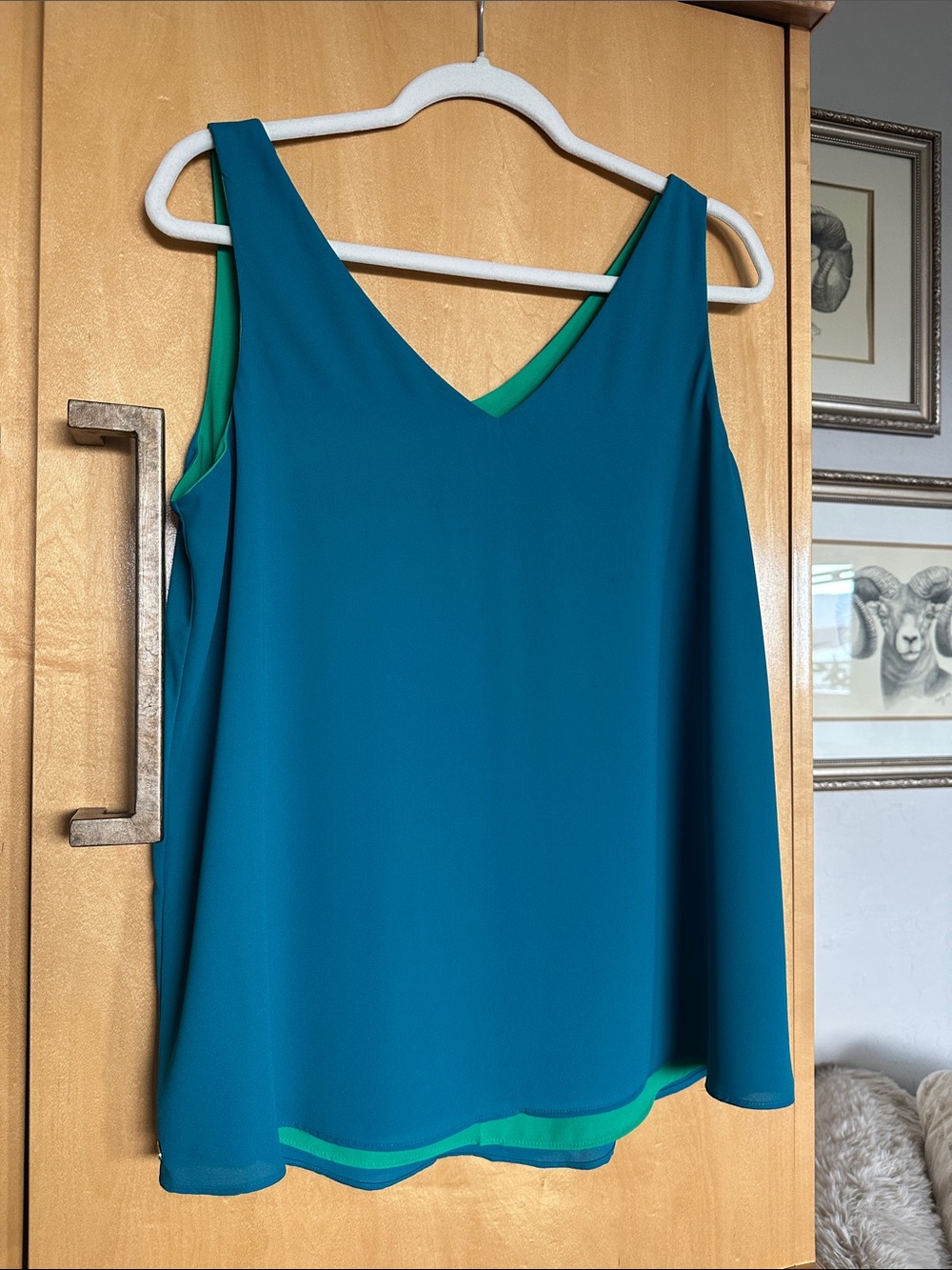 Lilly Pulitzer Florin Teal and Green Reversible V-Neck Camisole